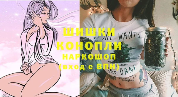 мдпв Бронницы