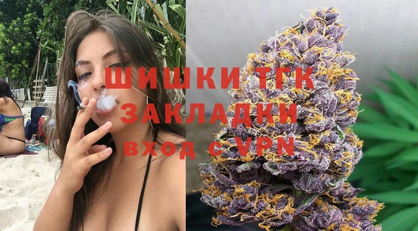 винт Бородино