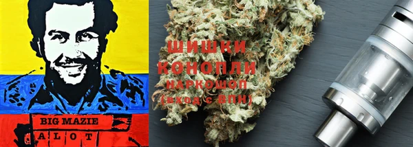 мдпв Бронницы
