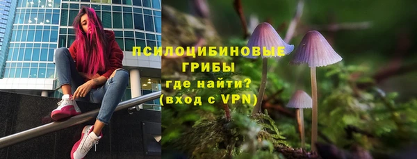 винт Бородино
