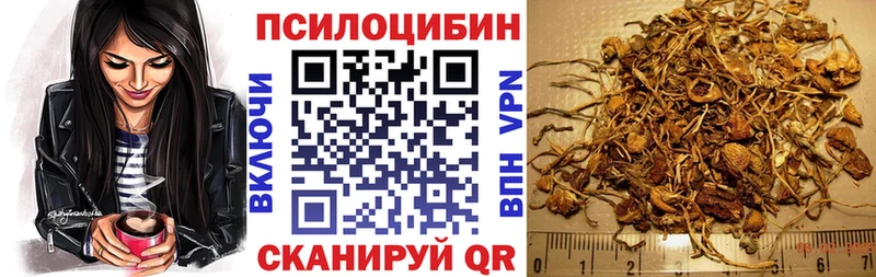 Галлюциногенные грибы Psilocybine cubensis  Купить закладки  Краснотурьинск 